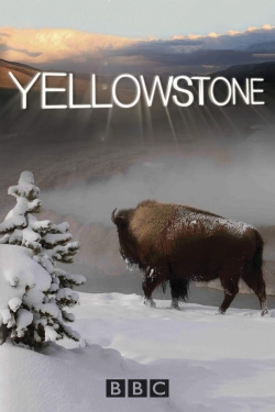 watch Yellowstone Movie online free in hd on Red Stitch