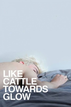watch Like Cattle Towards Glow Movie online free in hd on Red Stitch