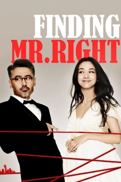 watch Finding Mr. Right Movie online free in hd on Red Stitch