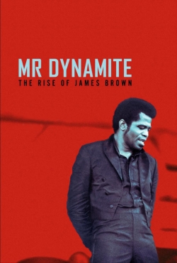 watch Mr. Dynamite - The Rise of James Brown Movie online free in hd on Red Stitch