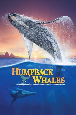 watch Humpback Whales Movie online free in hd on Red Stitch