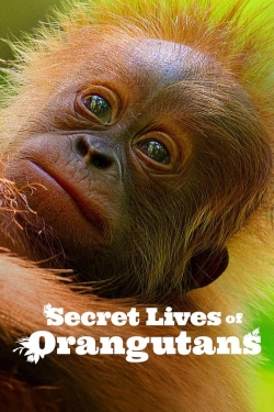 watch Secret Lives of Orangutans Movie online free in hd on Red Stitch