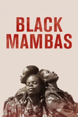 watch Black Mambas Movie online free in hd on Red Stitch