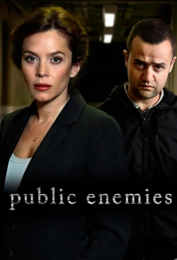 watch Public Enemies Movie online free in hd on Red Stitch