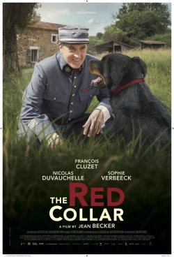 watch The Red Collar Movie online free in hd on Red Stitch