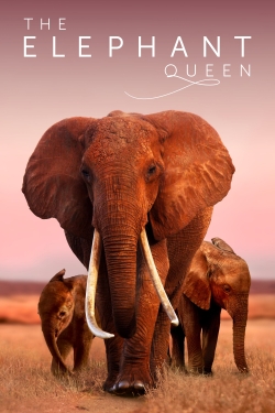 watch The Elephant Queen Movie online free in hd on Red Stitch