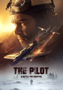 watch The Pilot. A Battle for Survival Movie online free in hd on Red Stitch