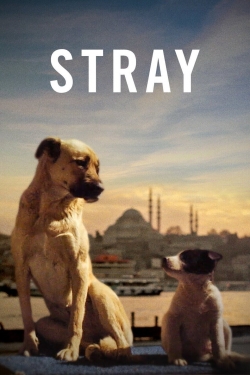 watch Stray Movie online free in hd on Red Stitch