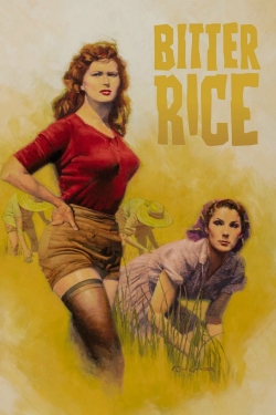 watch Bitter Rice Movie online free in hd on Red Stitch