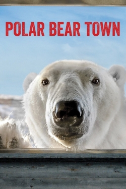 watch Polar Bear Town Movie online free in hd on Red Stitch