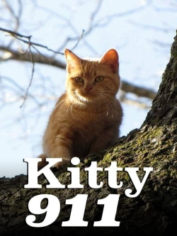 watch Kitty 911 Movie online free in hd on Red Stitch