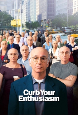 watch Larry David: Curb Your Enthusiasm Movie online free in hd on Red Stitch