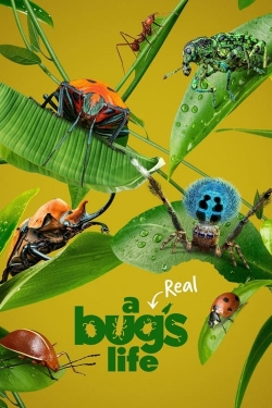 watch A Real Bug's Life Movie online free in hd on Red Stitch