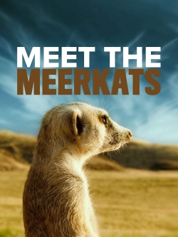 watch Meet The Meerkats Movie online free in hd on Red Stitch