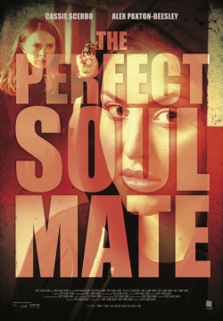 watch The Perfect Soulmate Movie online free in hd on Red Stitch