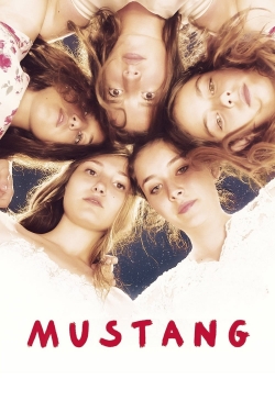 watch Mustang Movie online free in hd on Red Stitch