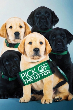 watch Pick of the Litter Movie online free in hd on Red Stitch